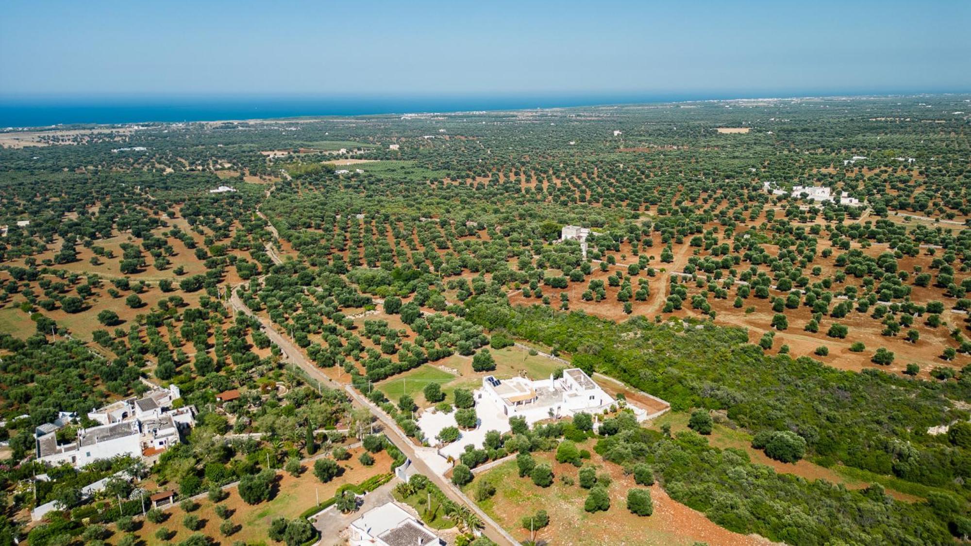 Masseria Abadia Uno Остуні Екстер'єр фото